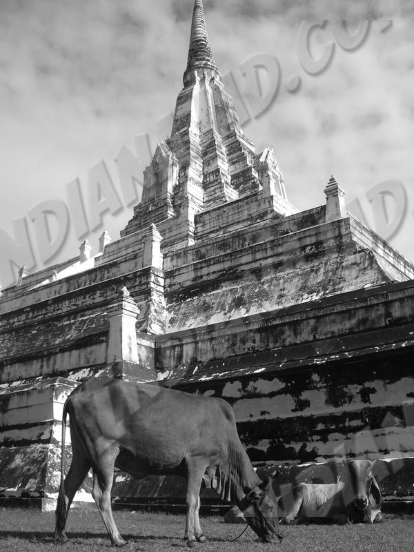 Ayuthaya