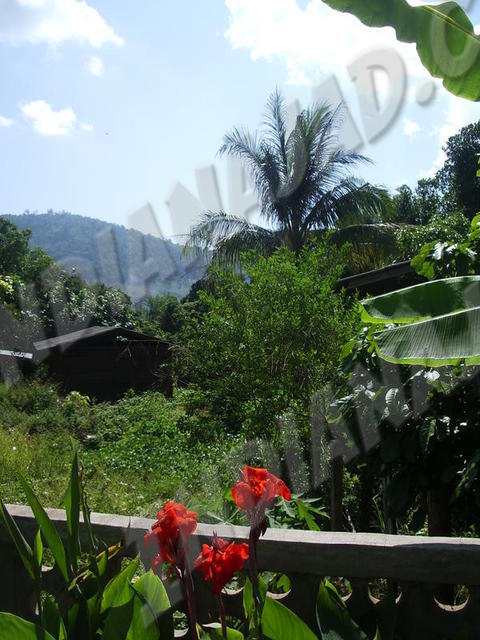 Chiang Mai (Région de)