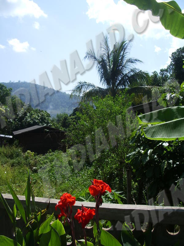 Chiang Mai (Région de)
