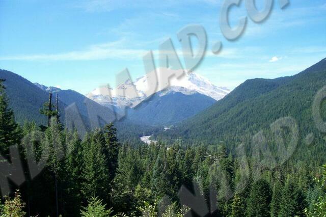 Washington - Mont Rainier