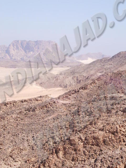 Sinaï (Désert de)