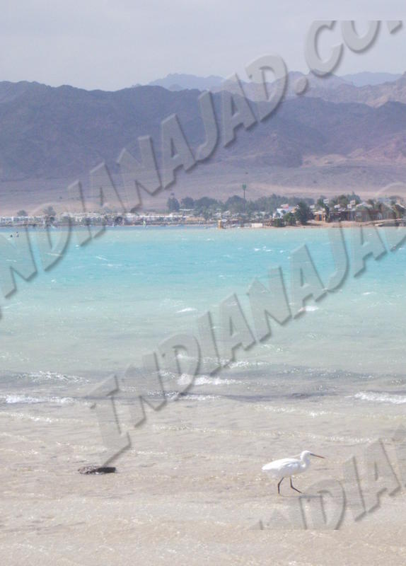 Dahab