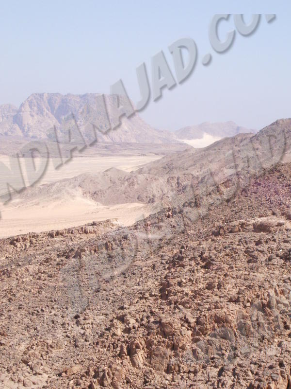 Sinaï (Désert de)
