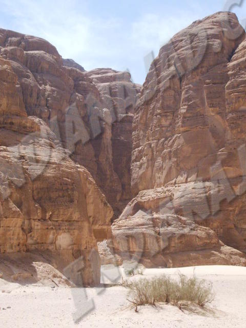 Sinaï (Désert de)