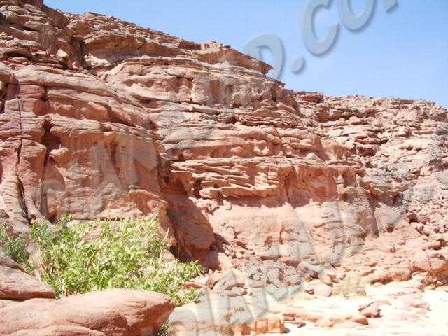 Sinaï (Désert de)