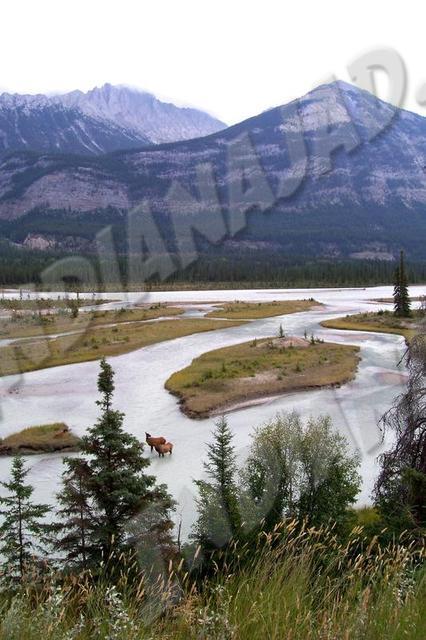 Alberta - Jasper