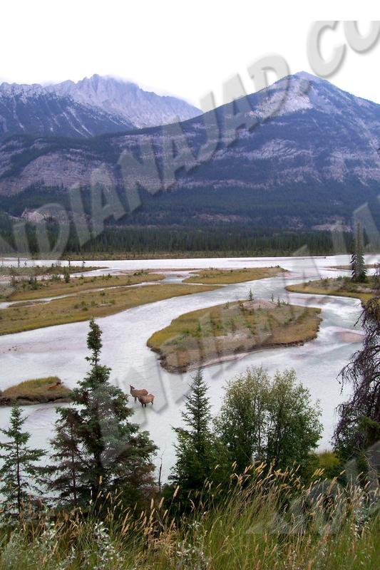 Alberta - Jasper