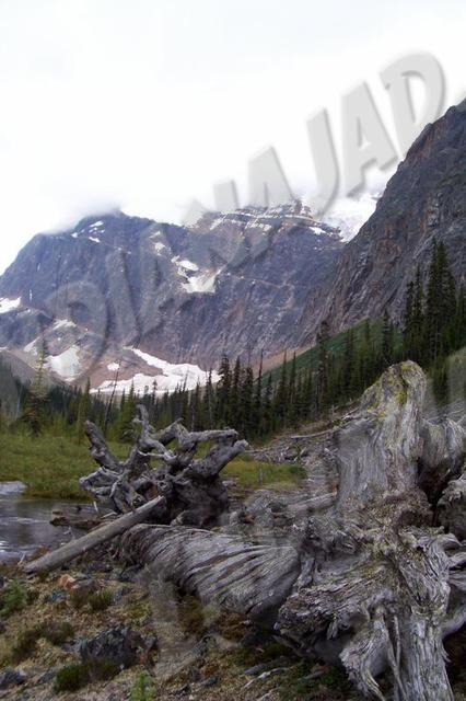 Alberta - Jasper