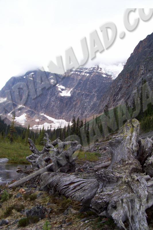 Alberta - Jasper