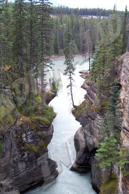 Alberta - Jasper