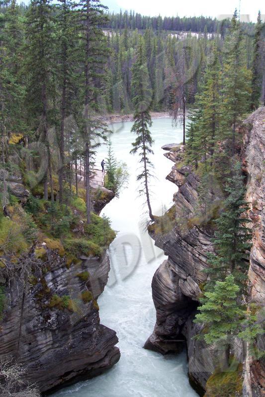 Alberta - Jasper
