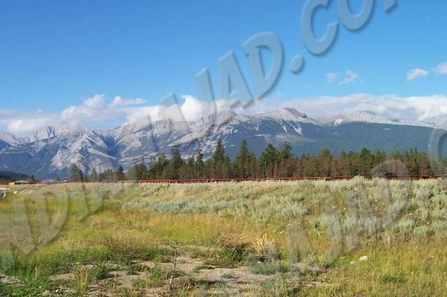 Alberta - Jasper