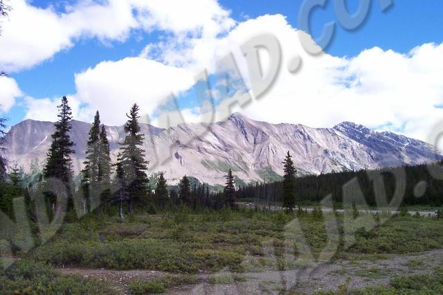 Alberta - Jasper