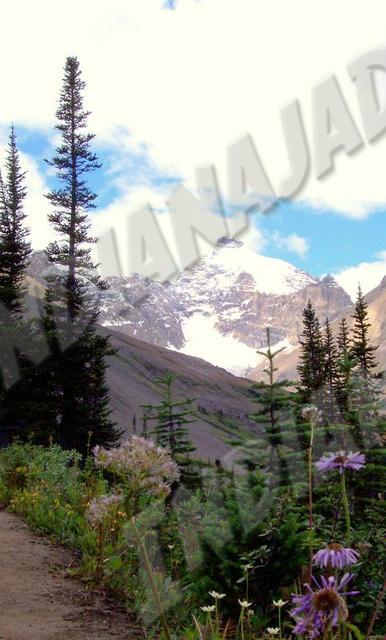 Alberta - Banff