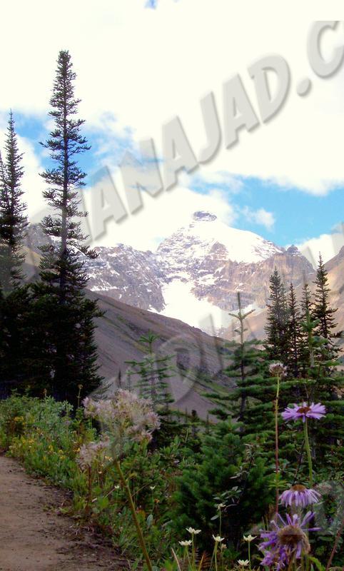 Alberta - Banff