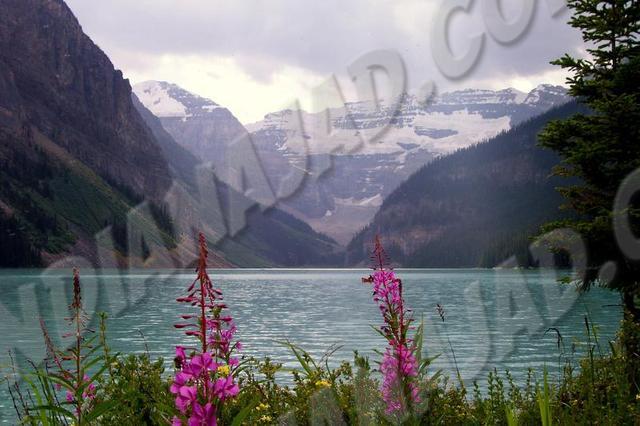 Alberta - Banff