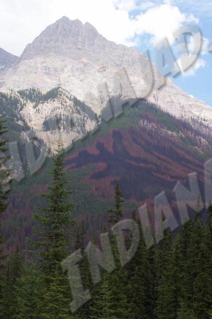 Alberta - Banff