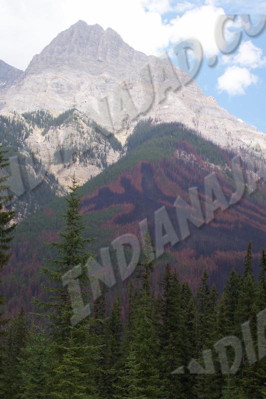 Alberta - Banff