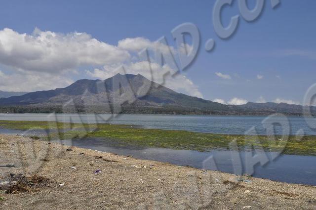 Kintamani