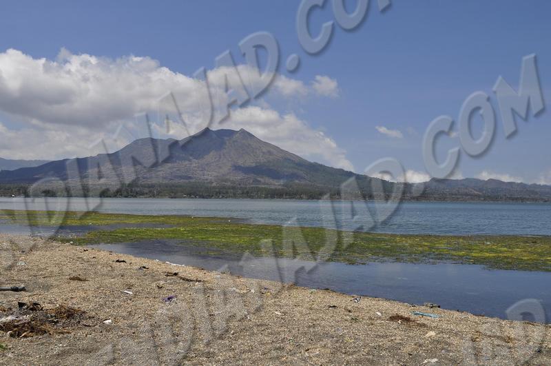 Kintamani
