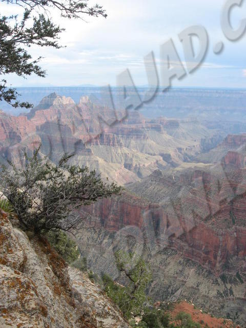 Arizona - Grand Canyon