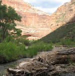 Utah - Zion