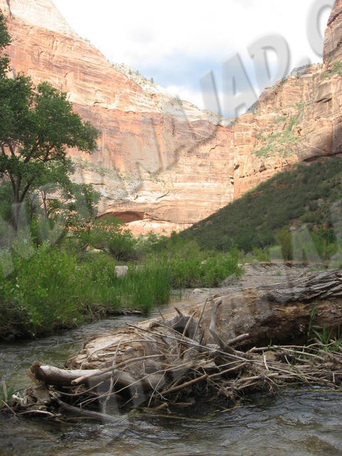 Utah - Zion