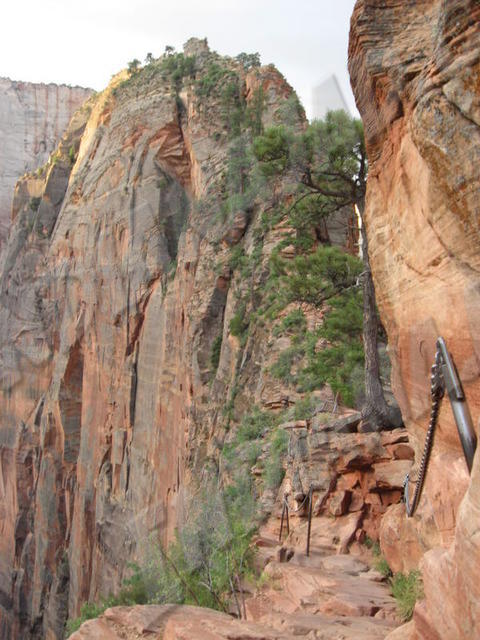 Utah - Zion