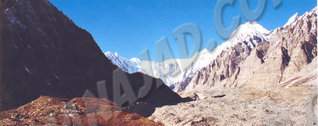 Passu