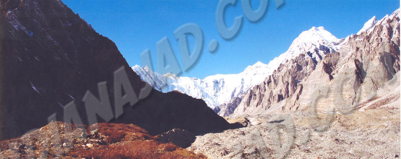 Passu