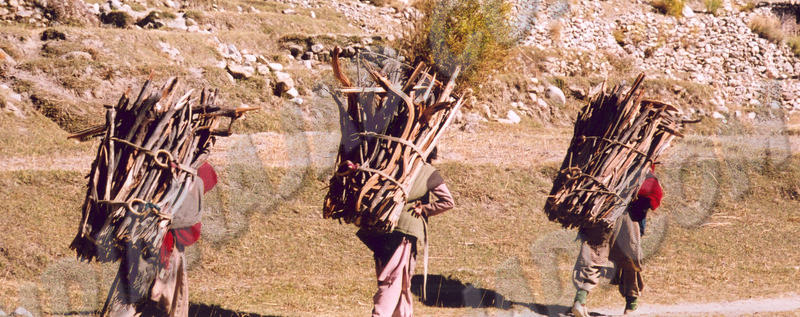 Skardu