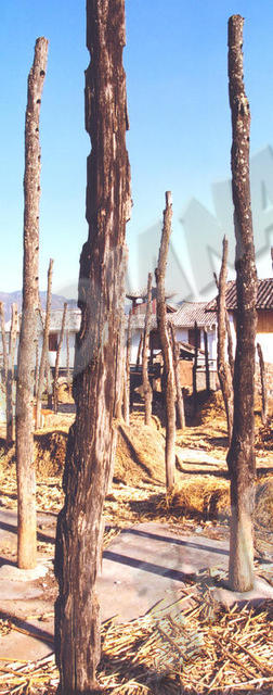 Lijiang