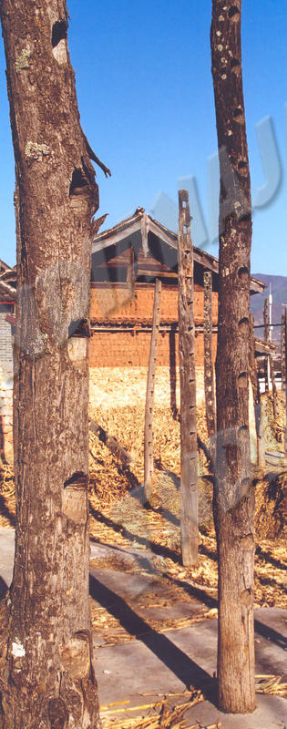 Lijiang
