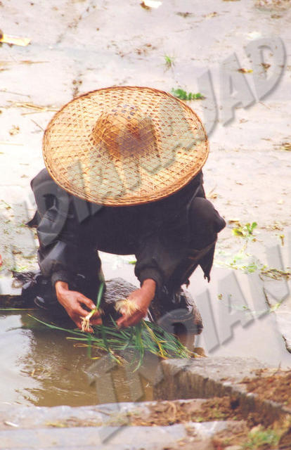Yangshuo