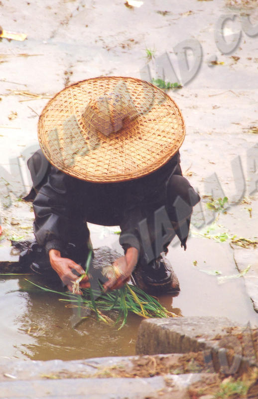 Yangshuo