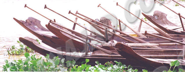 Pathein