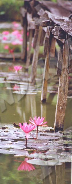 Nong Khiaw
