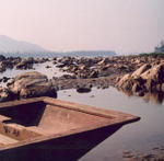 Pak Lai