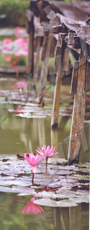 Nong Khiaw