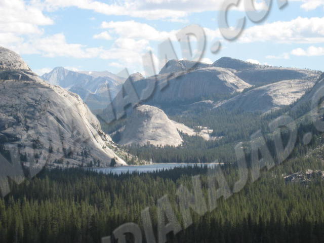 Californie - Yosemite