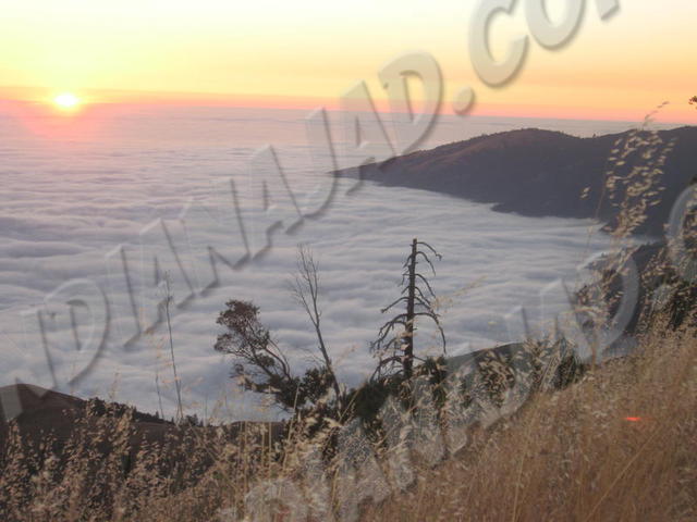 Californie - Prewitt Ridge