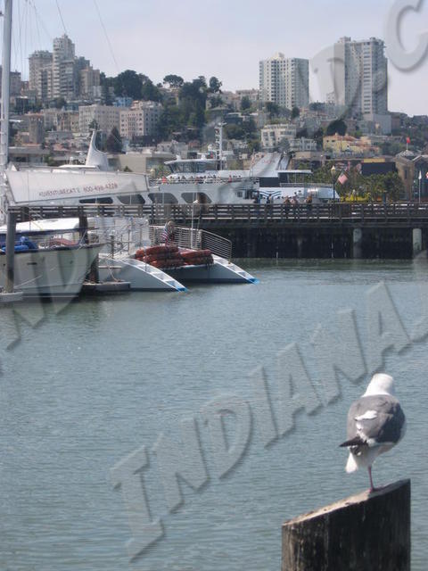 Californie - San Francisco