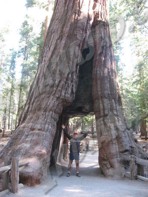 Californie - Yosemite