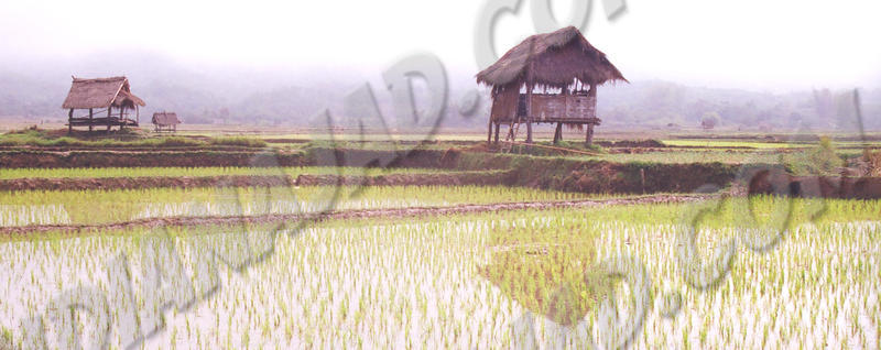 Luang Nam Tha