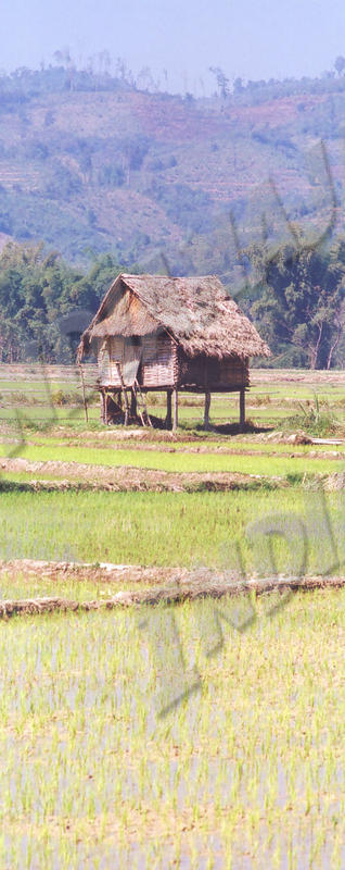 Luang Nam Tha