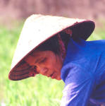 Chua Huong