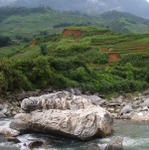 Sapa