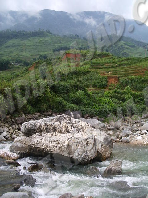 Sapa