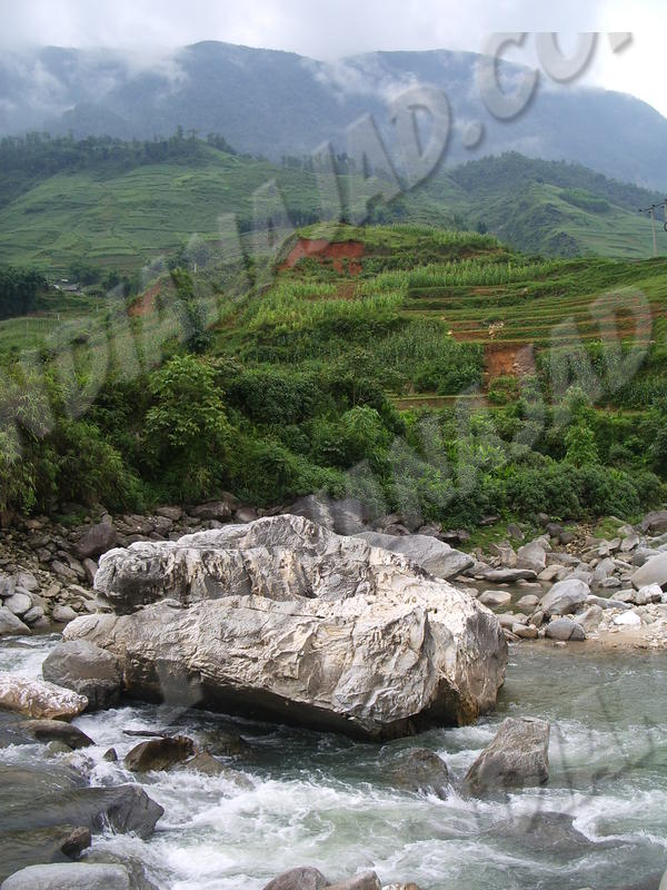 Sapa