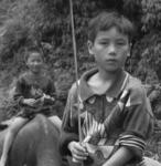 Sapa